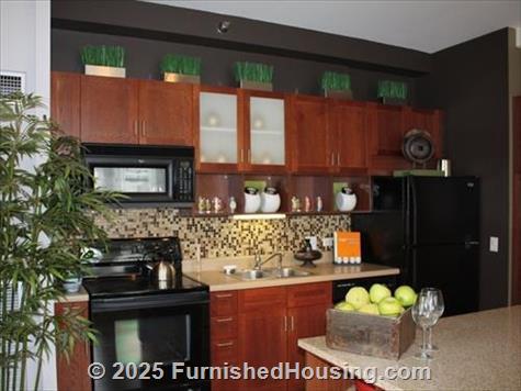 MDA City Apartments -  - 63 E. Lake St, Chicago, IL  60601 - LG - 3135869