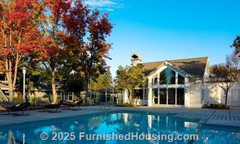 Madrone -  - 111 North Rengstorff Ave, Mountain View, CA  94043 - LG - 3574780