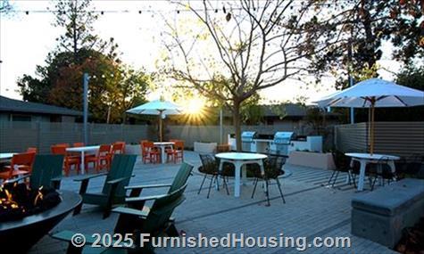 Madrone -  - 111 North Rengstorff Ave, Mountain View, CA  94043 - LG - 3574786