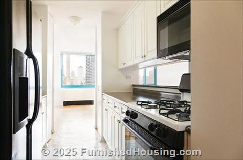 Manhattan Park - Hi-Rise - 20 River Road, Roosevelt Island, NY  10044 - LG - 1759867