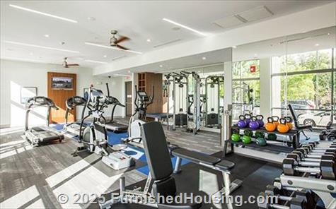 Marq  Midtown 205 -  - 205 S. King Drive, Charlotte, NC  28202 - LG - 4806347