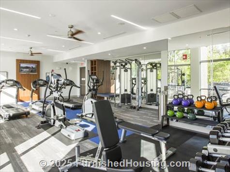 Marq Midtown 205 -  - 205 S Kings Dr, Charlotte, NC  28207 - LG - 5700796
