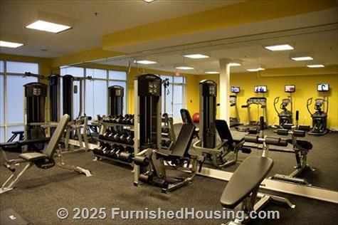Marquis Vista -  - 396 Piedmont Avenue, Atlanta, GA  30308 - LG - 477804