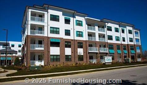 Mayfaire Flats -  - 1813 Sir Tyler Drive, Wilmington, NC  28405 - LG - 5071541