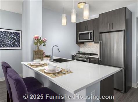 Moment -  - 545 North Mcclurg Court, Chicago, IL  60611 - LG - 4563432