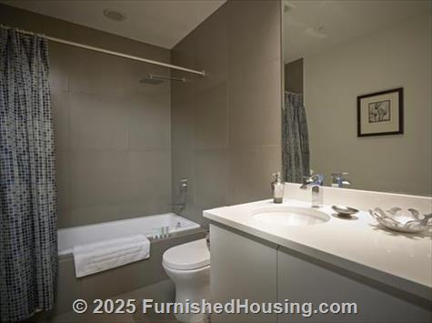 Monte Carlo - Hi-Rise - 6551 Collins Avenue, Miami Beach, FL  33141 - LG - 2903490