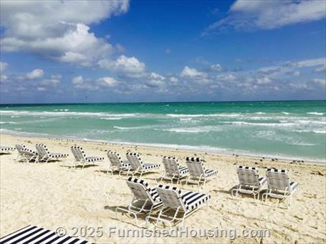Monte Carlo - Hi-Rise - 6551 Collins Avenue, Miami Beach, FL  33141 - LG - 6496956