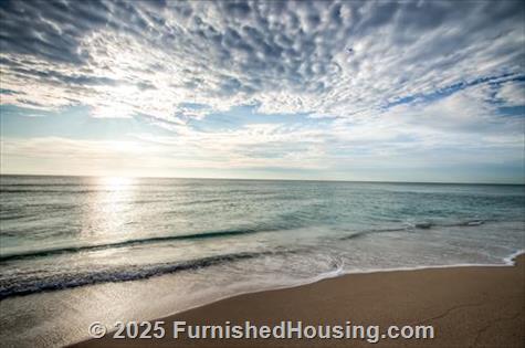 Monte Carlo - Hi-Rise - 6551 Collins Avenue, Miami Beach, FL  33141 - LG - 8039561