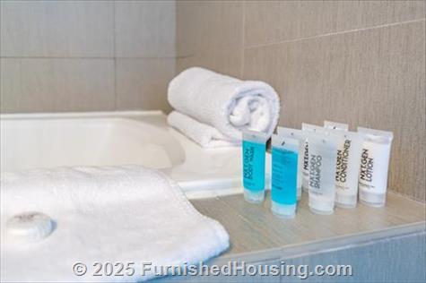 Monte Carlo - Hi-Rise - 6551 Collins Avenue, Miami Beach, FL  33141 - LG - 8236544