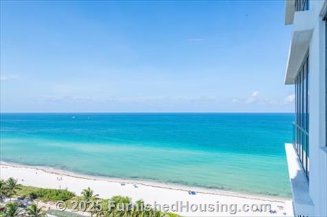 Monte Carlo - Hi-Rise - 6551 Collins Avenue, Miami Beach, FL  33141 - LG - 8236548