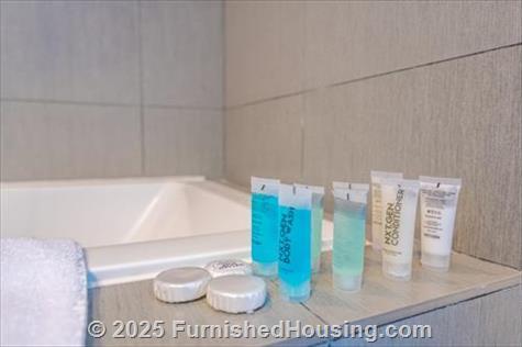 Monte Carlo - Hi-Rise - 6551 Collins Avenue, Miami Beach, FL  33141 - LG - 8241342
