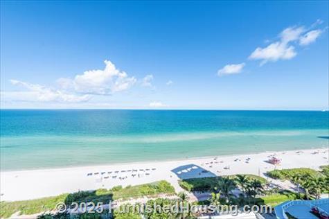 Monte Carlo - Hi-Rise - 6551 Collins Avenue, Miami Beach, FL  33141 - LG - 8332366