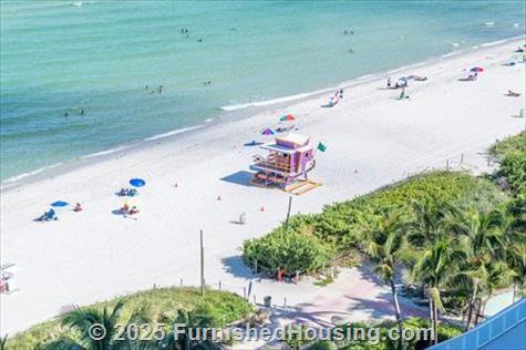 Monte Carlo - Hi-Rise - 6551 Collins Avenue, Miami Beach, FL  33141 - LG - 8332377