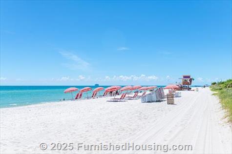 Monte Carlo - Hi-Rise - 6551 Collins Avenue, Miami Beach, FL  33141 - LG - 8332388