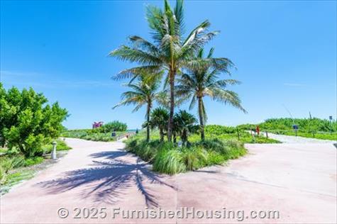 Monte Carlo - Hi-Rise - 6551 Collins Avenue, Miami Beach, FL  33141 - LG - 8332393