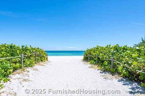 Monte Carlo - Hi-Rise - 6551 Collins Avenue, Miami Beach, FL  33141 - LG - 8332394