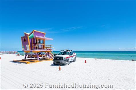 Monte Carlo - Hi-Rise - 6551 Collins Avenue, Miami Beach, FL  33141 - LG - 8332395