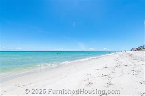 Monte Carlo - Hi-Rise - 6551 Collins Avenue, Miami Beach, FL  33141 - LG - 8332402