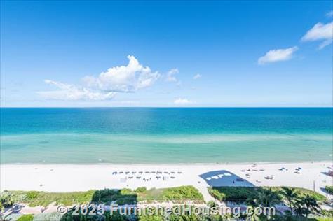 Monte Carlo - Hi-Rise - 6551 Collins Avenue, Miami Beach, FL  33141 - LG - 8384560
