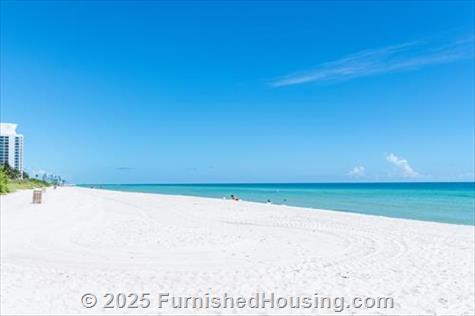 Monte Carlo - Hi-Rise - 6551 Collins Avenue, Miami Beach, FL  33141 - LG - 8534771