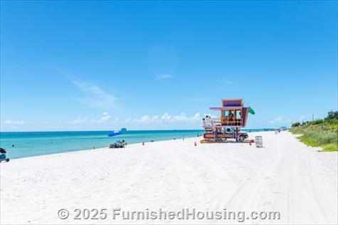 Monte Carlo - Hi-Rise - 6551 Collins Avenue, Miami Beach, FL  33141 - LG - 8534772