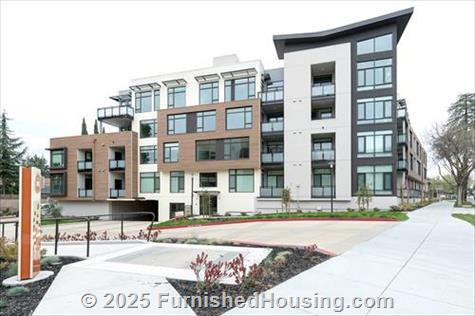 Montrose - Low-Rise - 1616 West El Camino Real, Mountain View, CA  94040 - LG - 8246080