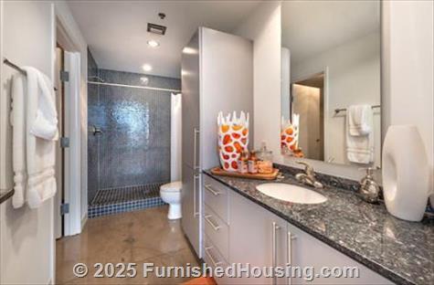 Mosaic Dallas -  - 300 N. Akard Street, Dallas, TX  75201 - LG - 8185117
