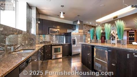 Mosaic Dallas -  - 300 N. Akard Street, Dallas, TX  75201 - LG - 8645137