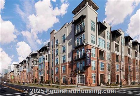 Mosaic South End -  - 1312 S College Street, Charlotte, NC  28203 - LG - 4779506