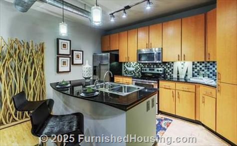 Mosaic South End -  - 1312 S College Street, Charlotte, NC  28203 - LG - 4779508