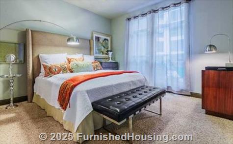 Mosaic South End -  - 1312 S College Street, Charlotte, NC  28203 - LG - 4779509