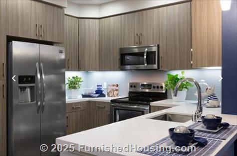 Naya -  - 1095 W El Camino Real, Sunnyvale, CA  94087 - LG - 4899612