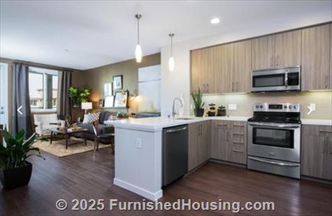 Naya -  - 1095 W El Camino Real, Sunnyvale, CA  94087 - LG - 4899615