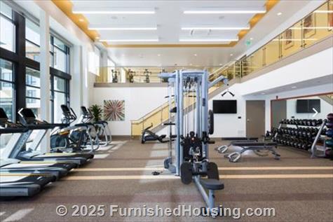 Naya -  - 1095 W El Camino Real, Sunnyvale, CA  94087 - LG - 4899617