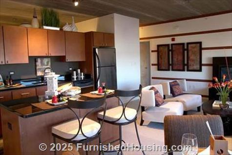 Oak Park Place -  - 479 North Harlem Avenue, Oak Park, IL  60301 - LG - 184981