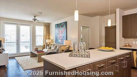 Olympus Grand Crossing -  - 302 Cobia Dr, Katy, TX  77494 - LG - 5219912
