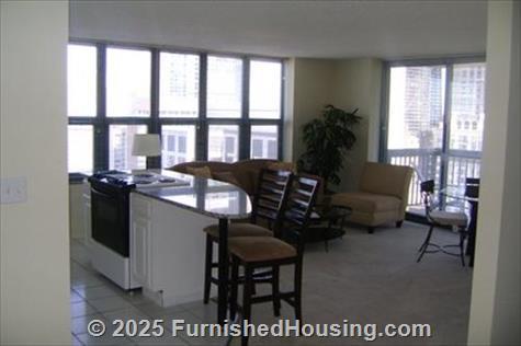 One Superior Place - Hi-Rise - One West Superior Street, Chicago, IL  60654 - LG - 1256875