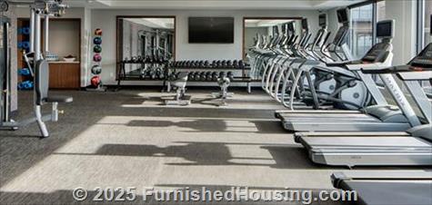 Onyx -  - 6725 York Ave S, Edina, MN  55435 - LG - 4866333
