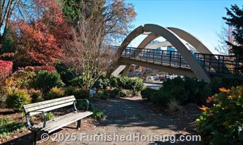 Park Metro -  - 11101 NE 12th Street, Bellevue, WA  98004 - LG - 4757163