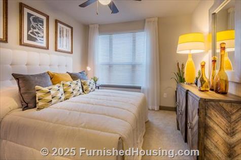 Pearl Midtown -  - 3101 Smith Street, Houston, TX  77006 - LG - 5116486