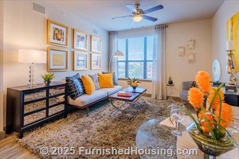 Pearl Midtown -  - 3101 Smith Street, Houston, TX  77006 - LG - 5116487