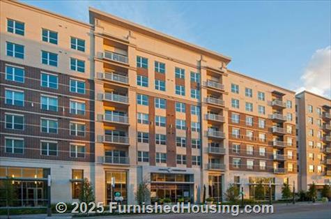 Pearl Residences at City Centre -  - 10401 Town and Country Way, Houston, TX  77024 - LG - 5211633