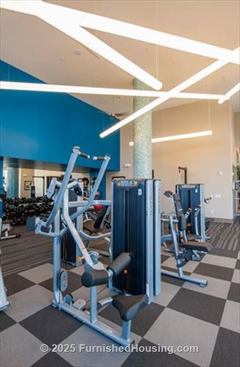 Pearl Residences at City Centre -  - 10401 Town and Country Way, Houston, TX  77024 - LG - 5211637