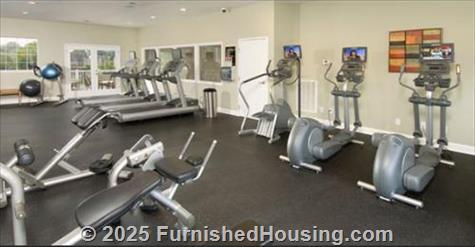 Polo Park - gardenapt - Jackson Downs Boulevard, Nashville, TN  37214 - LG - 431167