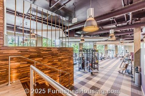 Post Centennial Park - Mid-Rise - 325 Centennial Olympic Park Dr, Atlanta, GA  30313 - LG - 6074746