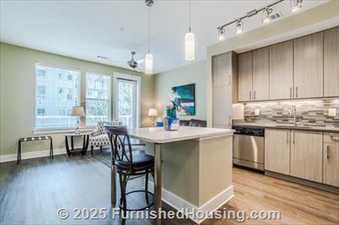 Post Centennial Park - Mid-Rise - 325 Centennial Olympic Park Dr, Atlanta, GA  30313 - LG - 6494834