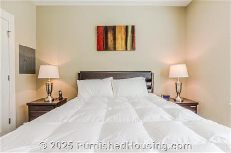 Post Centennial Park - Mid-Rise - 325 Centennial Olympic Park Dr, Atlanta, GA  30313 - LG - 6494849