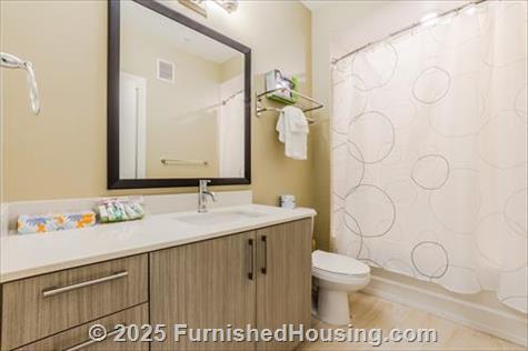 Post Centennial Park - Mid-Rise - 325 Centennial Olympic Park Dr, Atlanta, GA  30313 - LG - 6494851