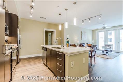Post Centennial Park - Mid-Rise - 325 Centennial Olympic Park Dr, Atlanta, GA  30313 - LG - 6494853