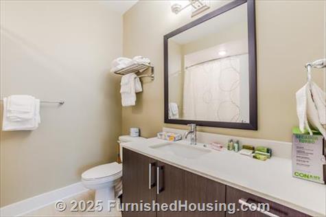 Post Centennial Park - Mid-Rise - 325 Centennial Olympic Park Dr, Atlanta, GA  30313 - LG - 6494878